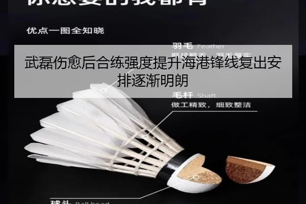 武磊伤愈后合练强度提升海港锋线复出安排逐渐明朗